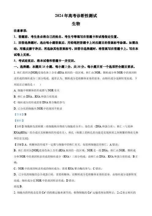 精品解析：2024届山东省德州市高三一模生物试题(解析版)