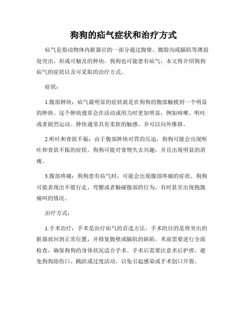 狗狗的疝气症状和治疗方式