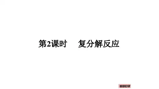 10.3常见的盐(复分解反应)课件---2024-2025学年九年级化学人教版(2024)下册