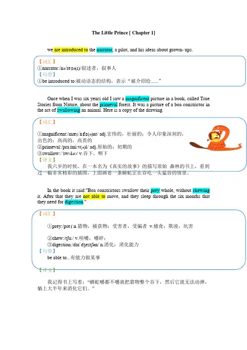 《小王子》精读Chapter1 讲义-高三英语一轮复习
