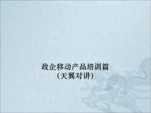 《天翼对讲业务》PPT课件