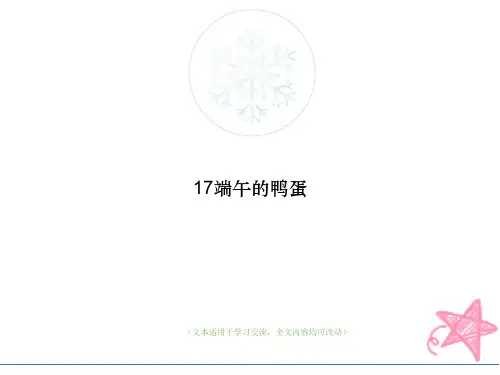17端午的鸭蛋教学ppt课件(最优版)