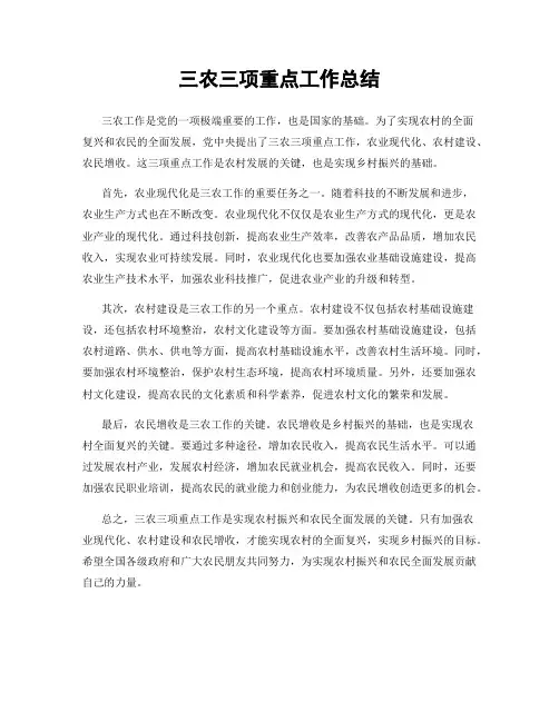 三农三项重点工作总结