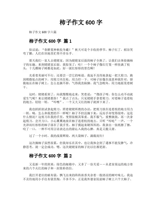 柿子作文600字
