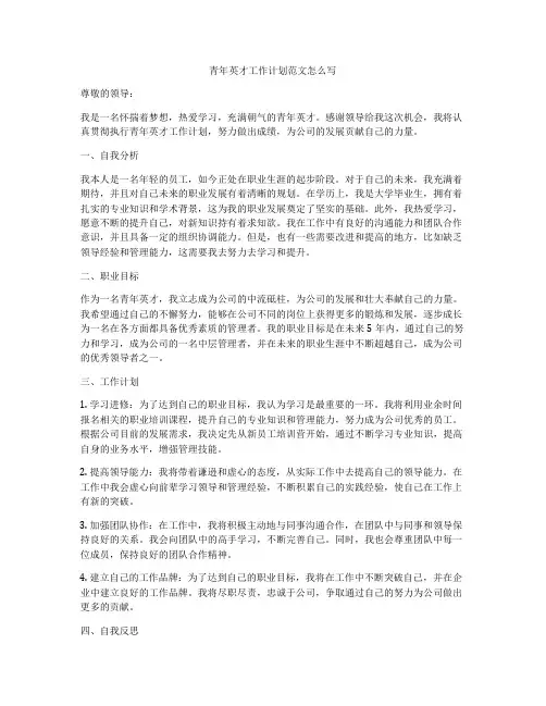 青年英才工作计划范文怎么写
