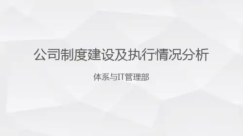 2021制度建设及执行情况分析完美版PPT