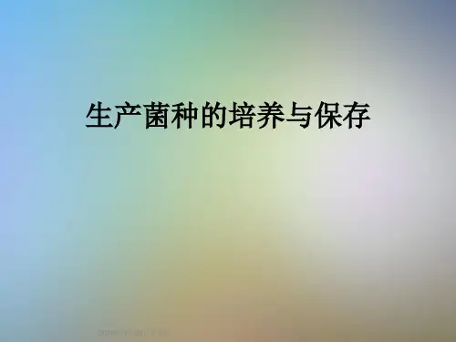 生产菌种的培养与保存