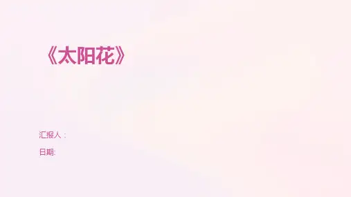 《太阳花》