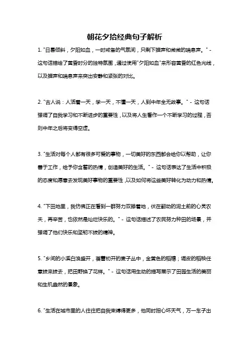 朝花夕拾经典句子解析