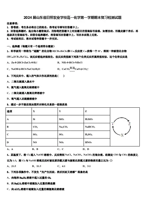 2024届山东省日照农业学校高一化学第一学期期末复习检测试题含解析