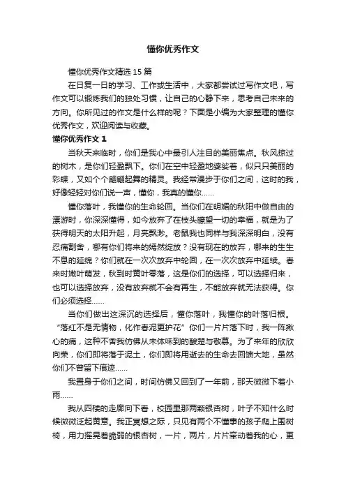 懂你优秀作文