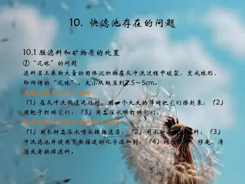 快滤池存在的问题PPT精品课件