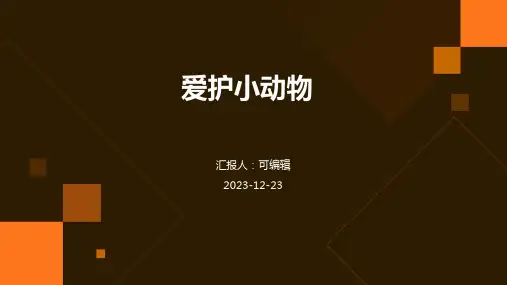 爱护小动物(幼儿园PPT课件)