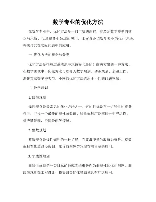 数学专业的优化方法