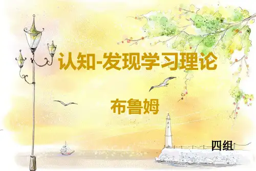 布鲁纳认知发现学习理论