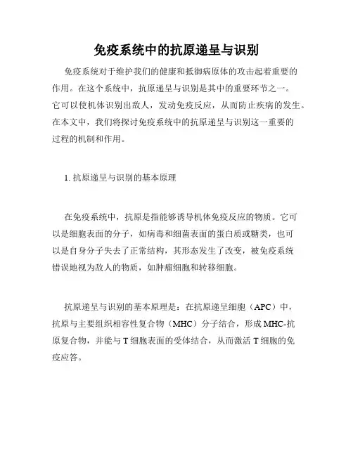 免疫系统中的抗原递呈与识别