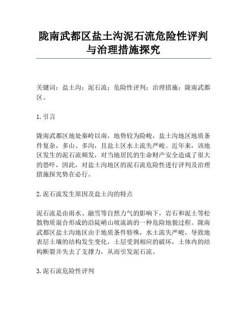 陇南武都区盐土沟泥石流危险性评价与治理措施研究
