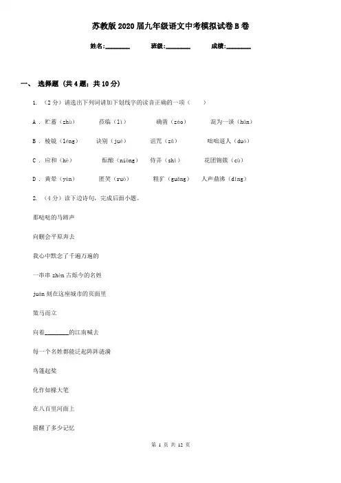 苏教版2020届九年级语文中考模拟试卷B卷