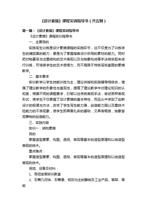 《设计素描》课程实训指导书（共五则）