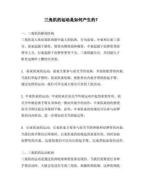 三角肌的运动是如何产生的？