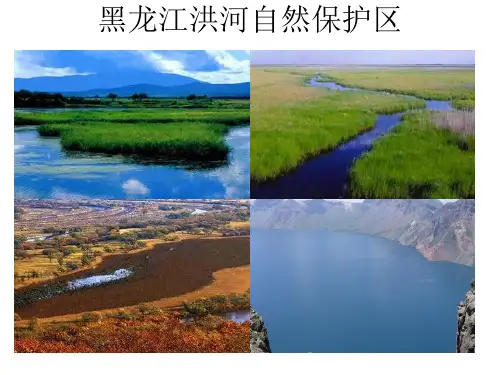 黑龙江洪河自然保护区
