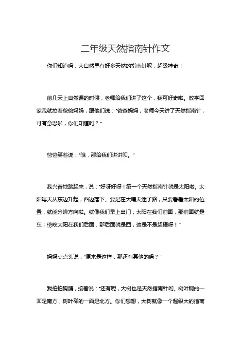 二年级天然指南针作文