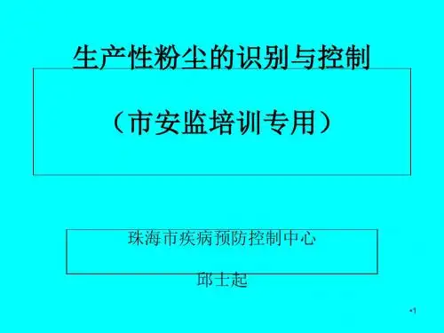 生产性粉尘的识别与控制培训课件(ppt 110页)