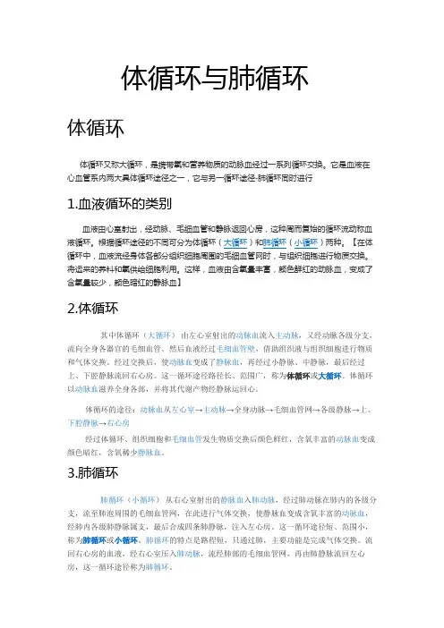 体循环与肺循环