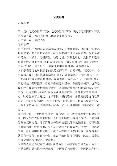 习武心得（精选篇）