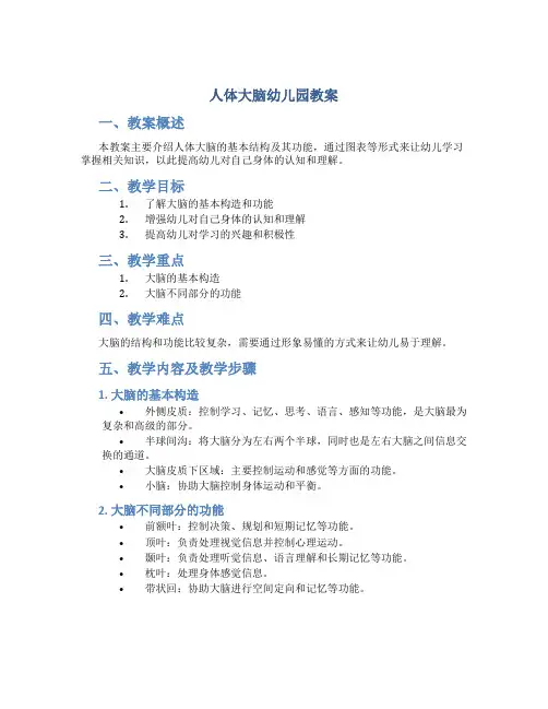 人体大脑幼儿园教案