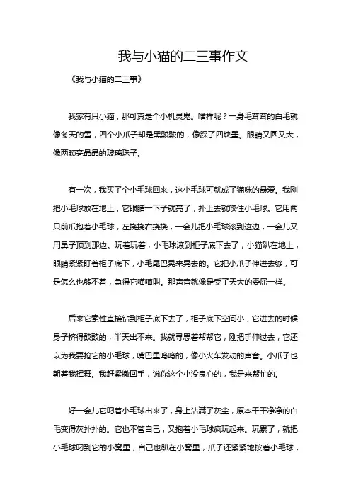 我与小猫的二三事作文