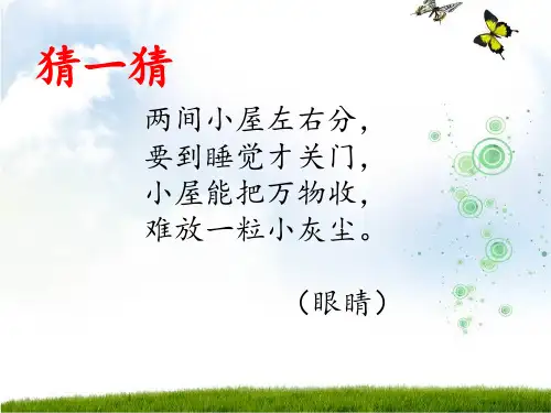 青岛版科学二年级下册二年级下册科学课件-动物的眼睛  青岛版