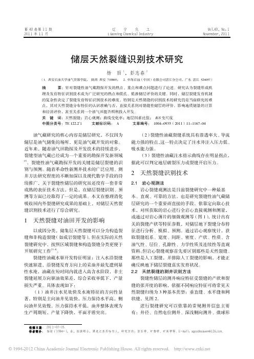 储层天然裂缝识别技术研究_杨丽