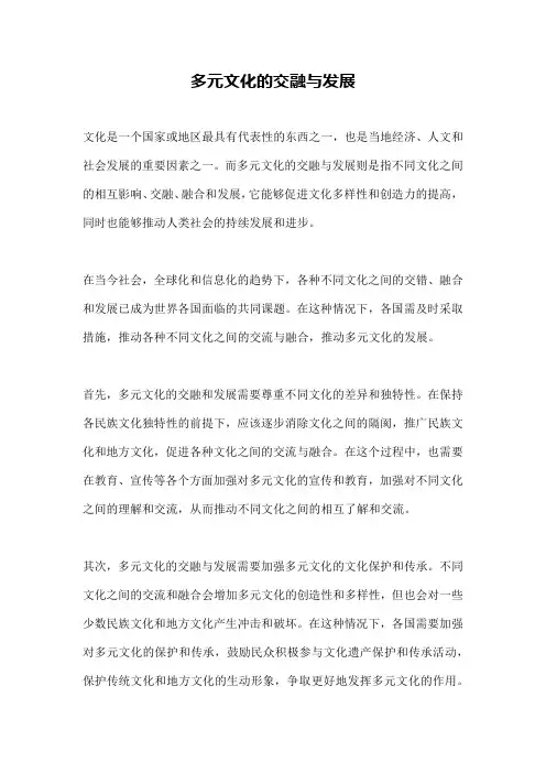 多元文化的交融与发展