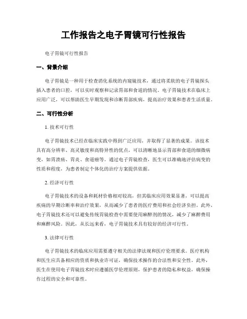 工作报告之电子胃镜可行性报告