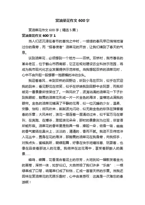 赏油菜花作文600字（精选5篇）