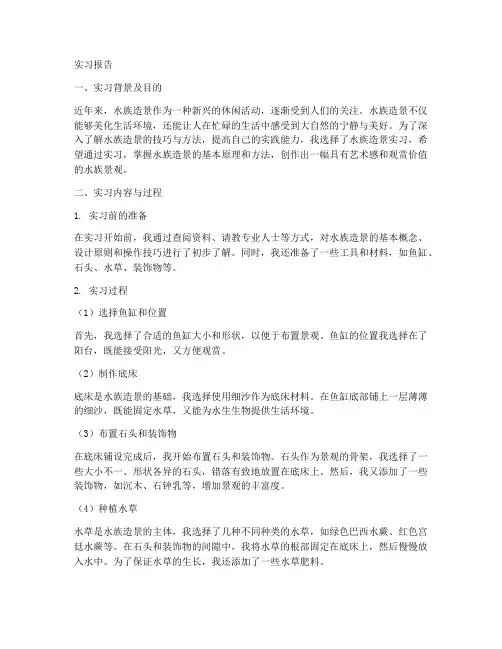 水族造景实习报告