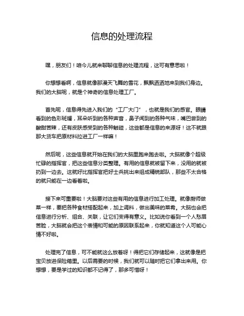 信息的处理流程