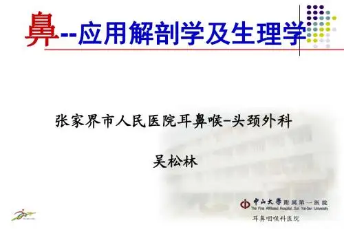 鼻应用解剖学