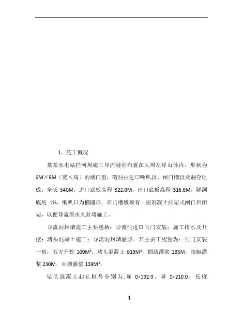 导流洞封堵方案11
