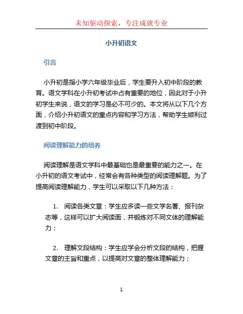 小升初语文