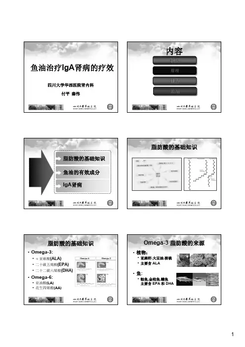 鱼油治疗IgA肾病