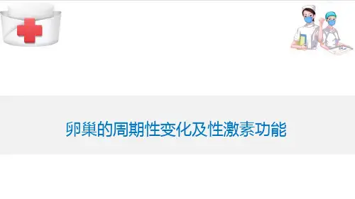 女性生殖系统生理—卵巢周期性变化及性激素功能(妇产科护理课件)