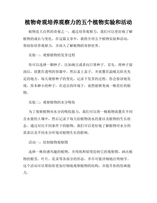 植物奇观培养观察力的五个植物实验和活动