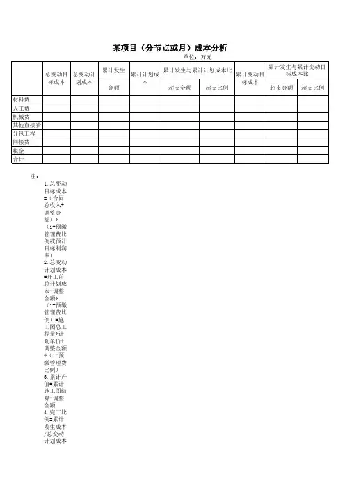 项目分析表格
