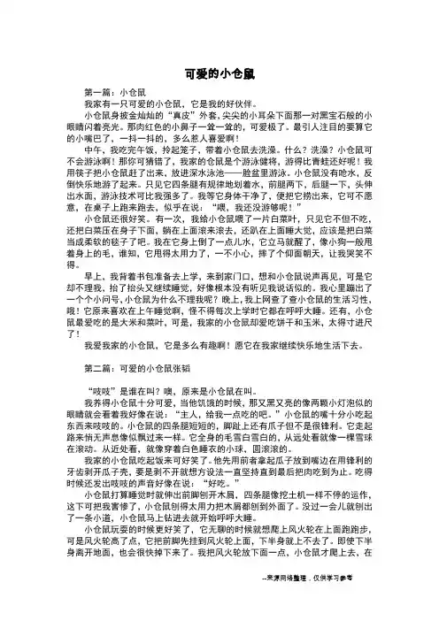 可爱的小仓鼠_六年级作文_2