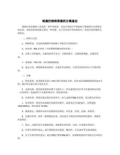 桃腐烂病病原菌的分离鉴定
