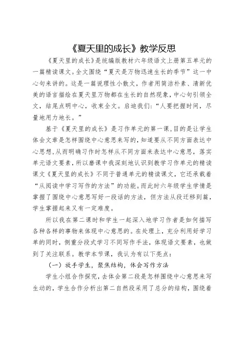 《夏天里的成长》教学反思
