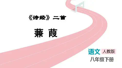 部编版八年级语文下册《蒹葭》PPT教学课件