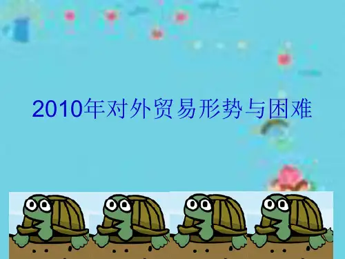2010年形势分析